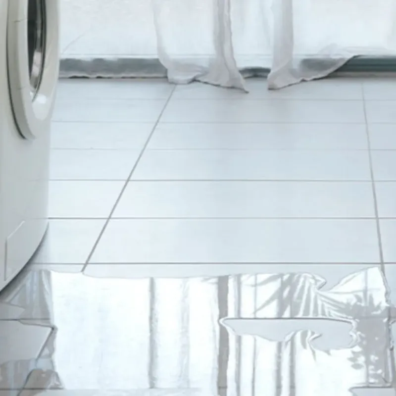 Appliance Leak Cleanup in Nederland, CO